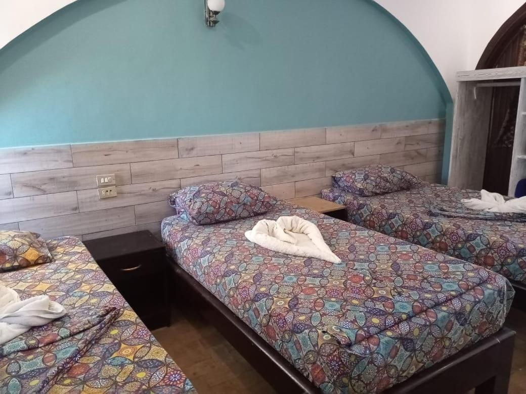 Dahab Divers Zewnętrze zdjęcie