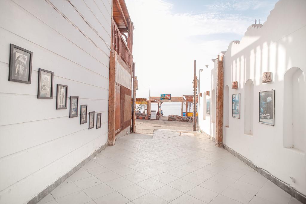 Dahab Divers Zewnętrze zdjęcie