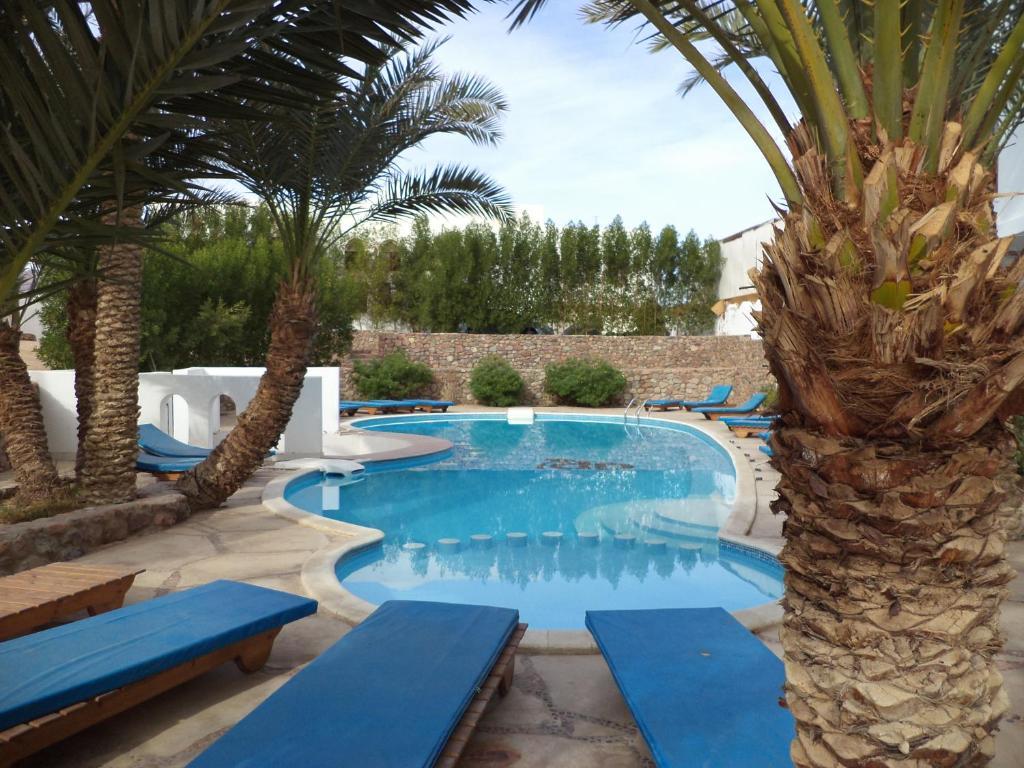 Dahab Divers Zewnętrze zdjęcie