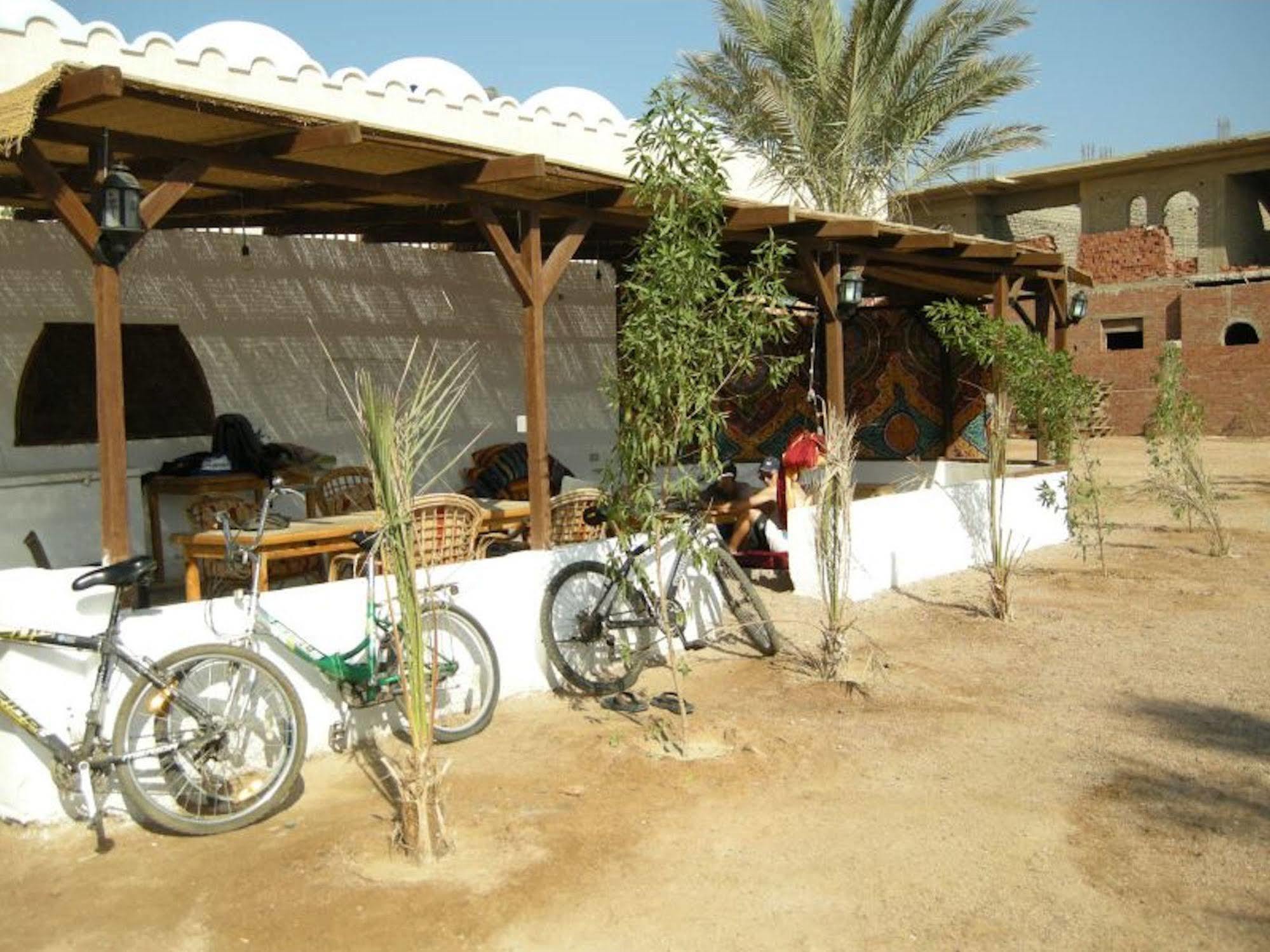 Dahab Divers Zewnętrze zdjęcie