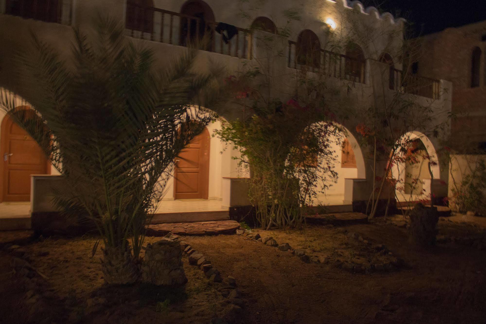 Dahab Divers Zewnętrze zdjęcie