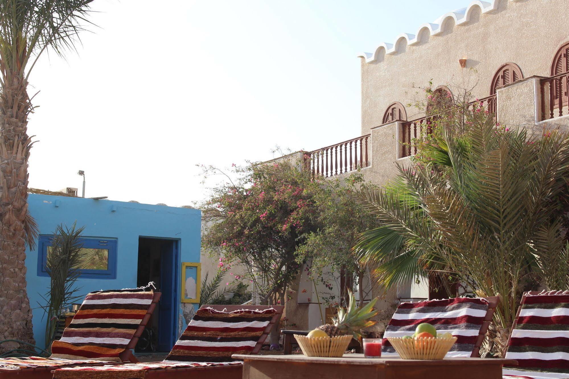 Dahab Divers Zewnętrze zdjęcie