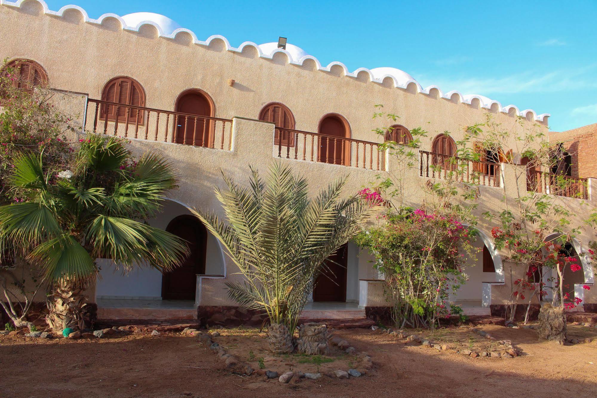 Dahab Divers Zewnętrze zdjęcie