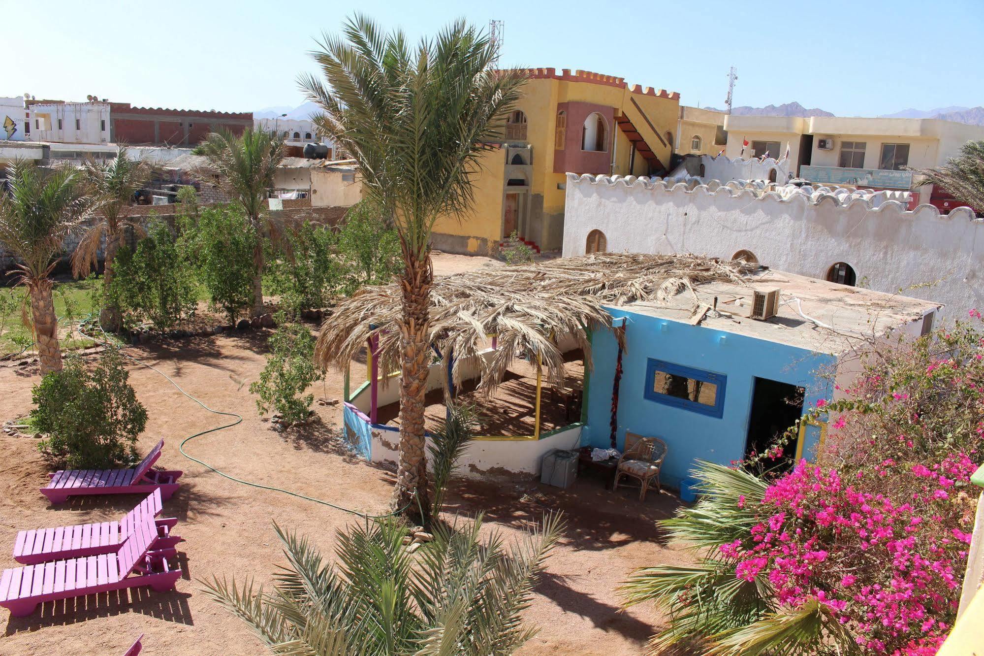 Dahab Divers Zewnętrze zdjęcie