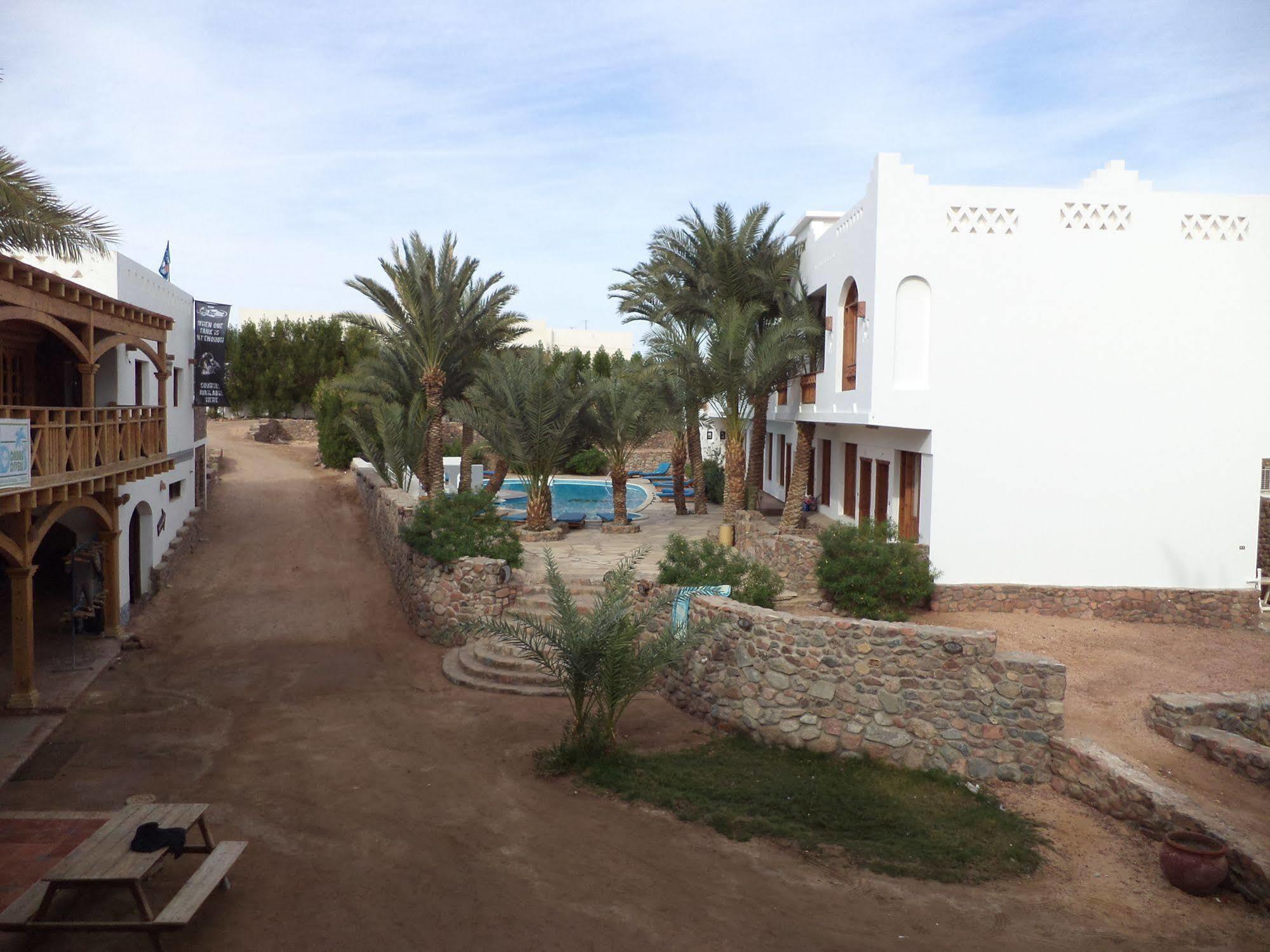 Dahab Divers Zewnętrze zdjęcie